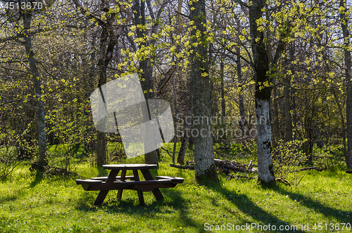 Image of Beautiful resting place with wooden furniture in a bright backli