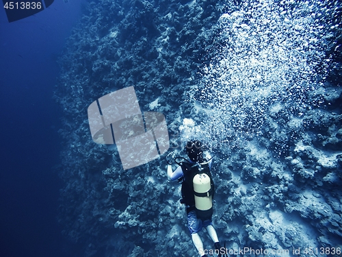 Image of Scuba diver descending to the bottom