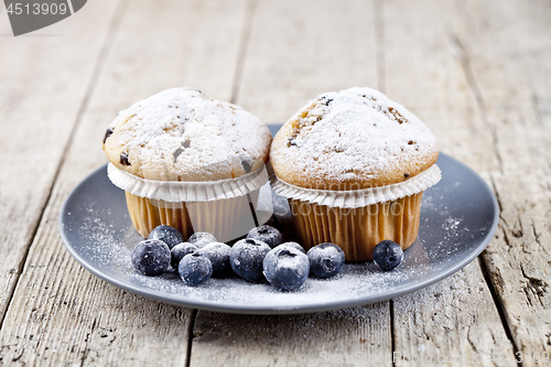 Image of Homemade fresh muffins with sugar powder and blueberries on cera