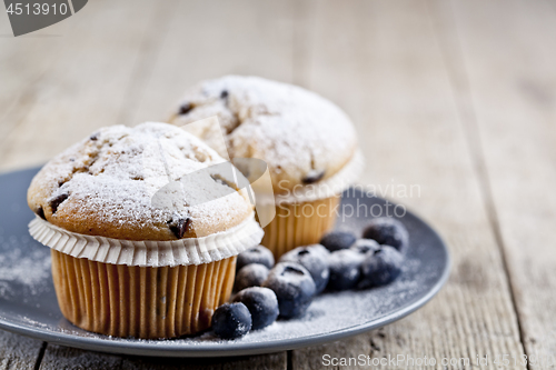 Image of Homemade fresh muffins with sugar powder and blueberries on cera