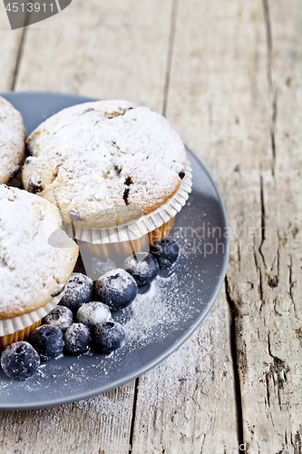 Image of Homemade fresh muffins with sugar powder and blueberries on cera