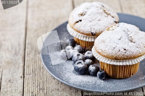 Image of Homemade fresh muffins with sugar powder and blueberries on cera