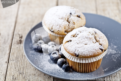 Image of Homemade fresh muffins with sugar powder and blueberries on cera