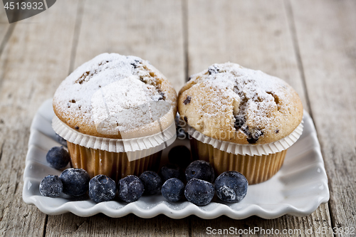 Image of Homemade fresh muffins with sugar powder and blueberries on cera