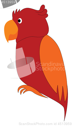 Image of Red and orange parrot cartoon vector illustration on white backg