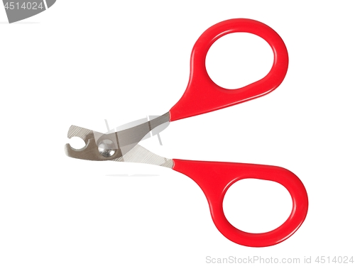 Image of Cat nail clippers  on white