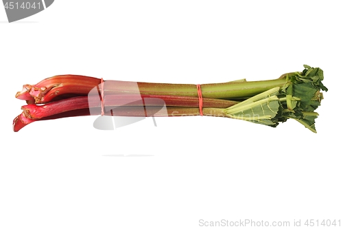 Image of Rhubarb on white