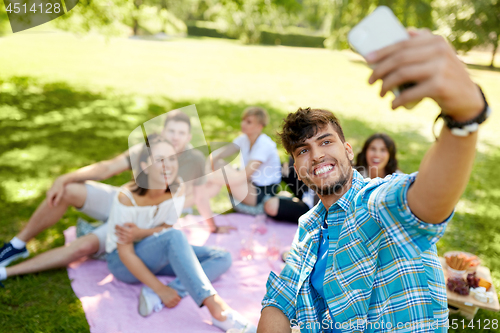 Image of friends taking selfie by smartphone at picnic