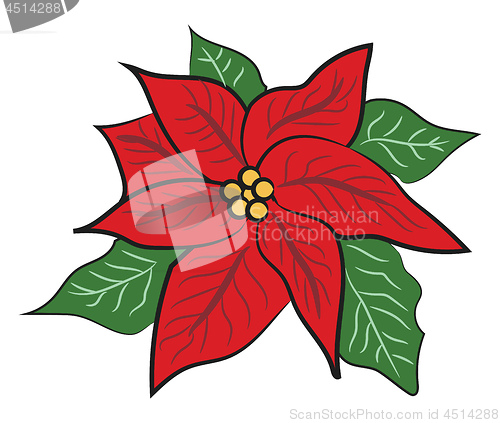 Image of Christmas festive flower decoration vector or color illustration