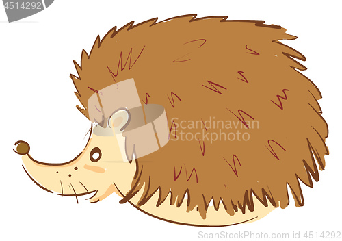 Image of A brown hedgehog vector or color illustration