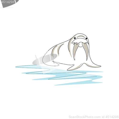 Image of Drawing of a walrus haul out to the beach vector or color illust