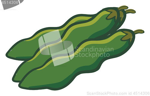 Image of Three green beans vector illustration on white background
