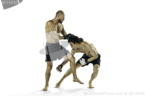 Image of Two professional boxer boxing isolated on white studio background