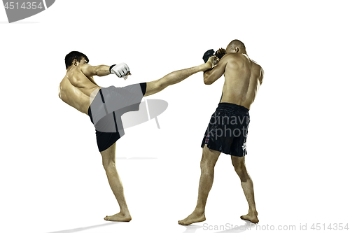 Image of Two professional boxer boxing isolated on white studio background