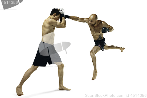 Image of Two professional boxer boxing isolated on white studio background