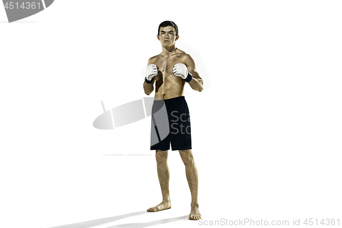 Image of professional boxer boxing isolated on white studio background