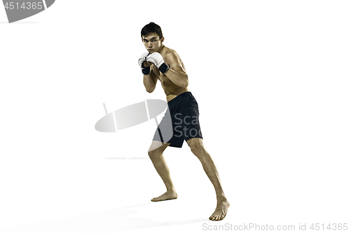 Image of professional boxer boxing isolated on white studio background