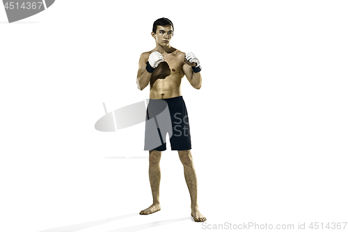 Image of professional boxer boxing isolated on white studio background