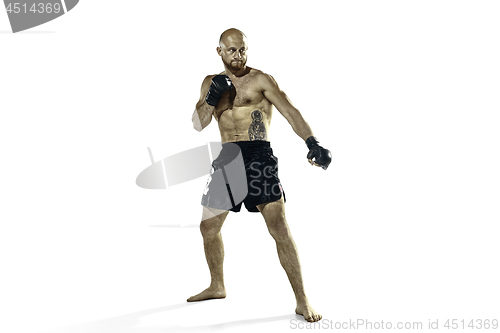 Image of professional boxer boxing isolated on white studio background