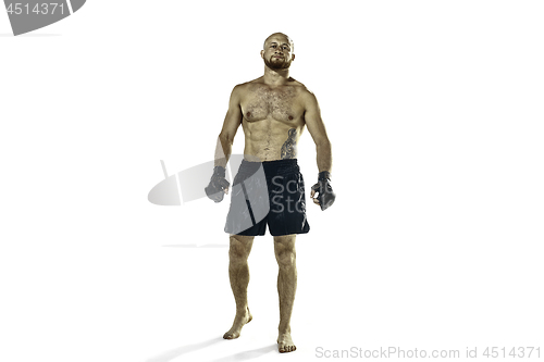 Image of professional boxer boxing isolated on white studio background