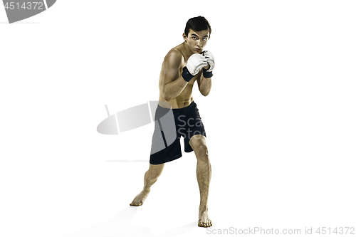 Image of professional boxer boxing isolated on white studio background