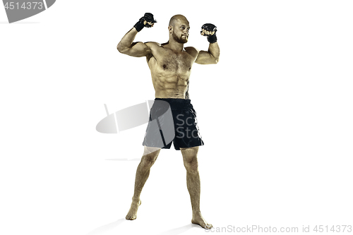 Image of professional boxer boxing isolated on white studio background