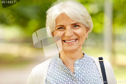Image of portrait of happy senior woman at summer park
