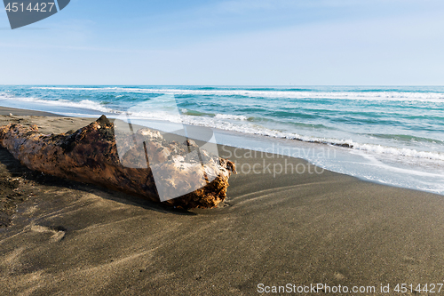 Image of Beautiful sea, the black sandy beach and big old log