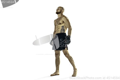 Image of professional boxer boxing isolated on white studio background