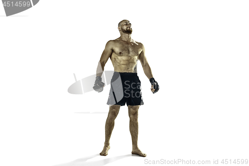 Image of professional boxer boxing isolated on white studio background