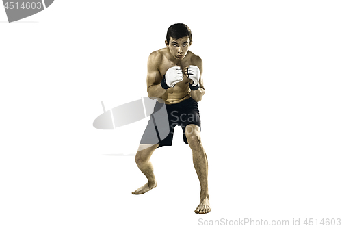 Image of professional boxer boxing isolated on white studio background