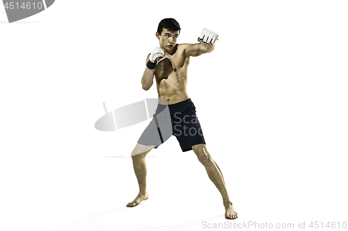 Image of professional boxer boxing isolated on white studio background