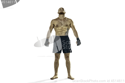 Image of professional boxer boxing isolated on white studio background