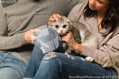 Image of close up of couple with scottish fold cat