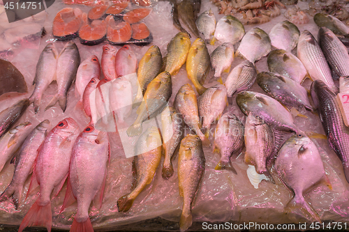 Image of Fresh Fish