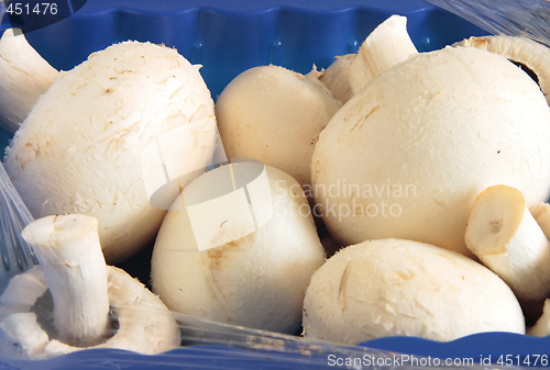 Image of fresh mushrooms in a blue carton