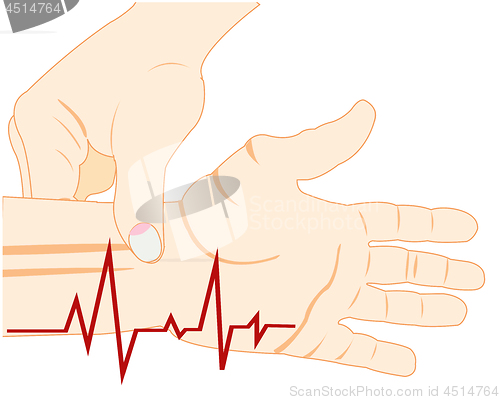 Image of Measurement of the pulse on hand on white background is insulated