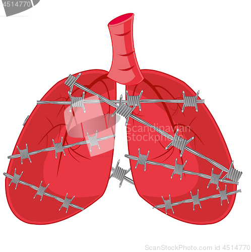 Image of Internal organs of the person light in barbed wire