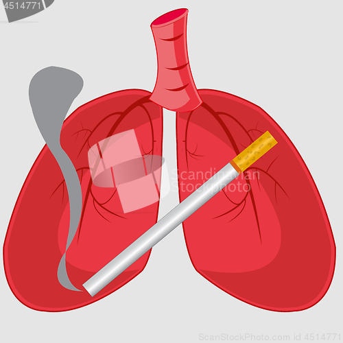 Image of Internal organs of the person light and cigarette