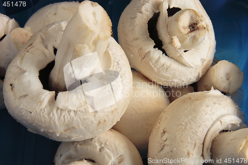 Image of fresh mushrooms in a blue carton