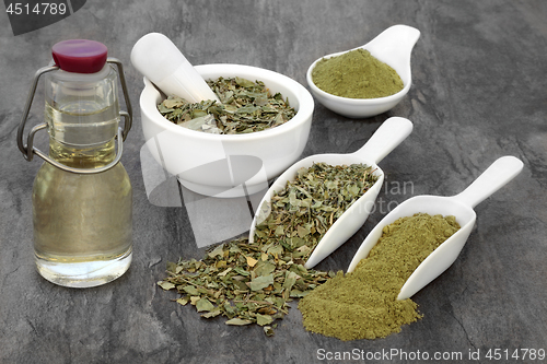 Image of Moringa Herb Leaf Oil and Powder