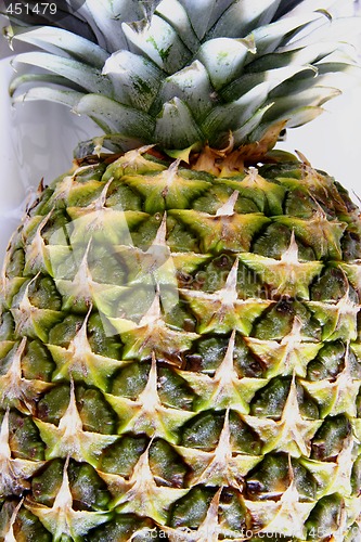 Image of fresh pineapple