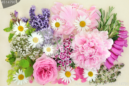 Image of Herbs and Flowers for Herbal Medicine