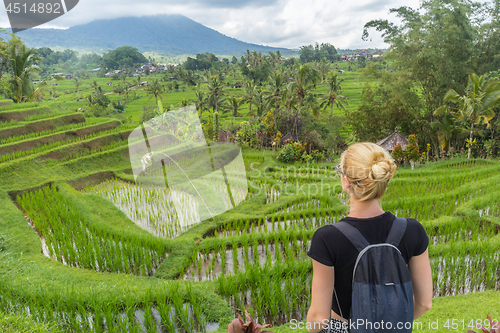 Image of Caucasian female tourist wearing small backpack looking at beautiful green rice fields and terraces of Jatiluwih on Bali island