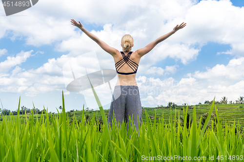 Image of Relaxed casual sporty woman, arms rised to the sky, enjoying pure nature at beautiful green rice fields on Bali.