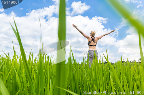 Image of Relaxed healthy sporty woman, arms rised to the sky, enjoying pure nature at beautiful green rice fields on Bali.