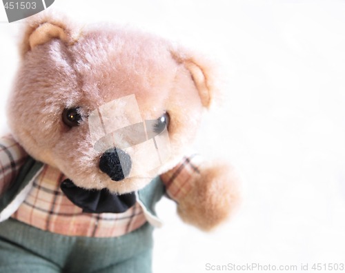 Image of dressed teddy bear