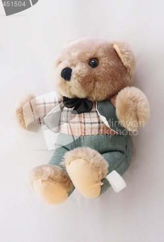 Image of dressed teddy bear