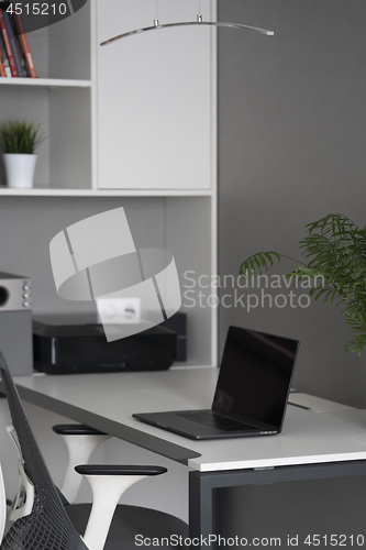 Image of Modern office interior with orthopaedic chair, comfortable desk, new laptop and office equipment on a table and shalves. Concept green office.