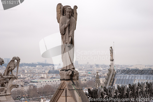 Image of Angel is playing an horn